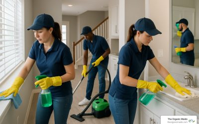 Move-In Cleaning Services 101: Because Nobody Wants to Unpack in Dirt